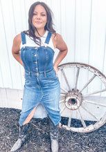 Frankie Overall Denim Dress