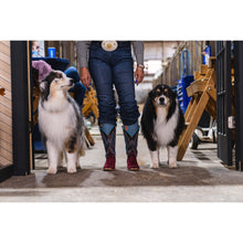 Lucky Denim Performance Boot Socks