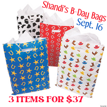 Shandi’s Birthday Bag {3 Items}